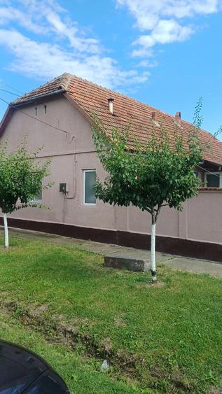 Casă cu 4 camere cu Teren 1450 Mp în Central