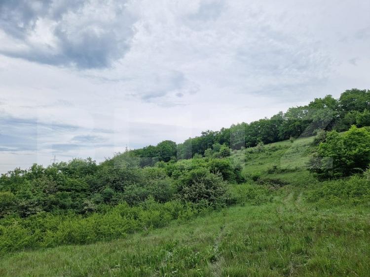 Teren Construcții extravilan de 15000 mp, în Gilău
