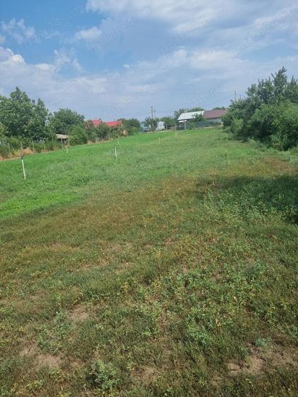 Teren de 3600 mp, în Plosca