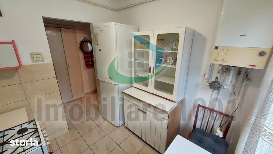 Apartament cu 2 camere semidecomandat în Săsar