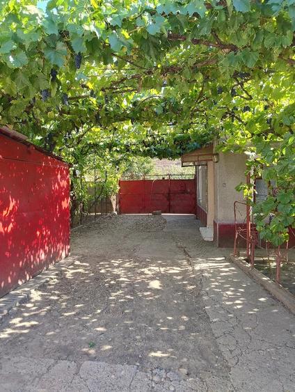 Casă cu Teren 1055 Mp în Central