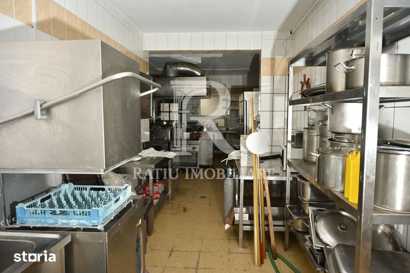 Casă cu 9 camere cu Teren 519 Mp în Băile Felix