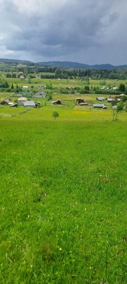 Teren de vanzare 49246 mp Neagra Sarului, comuna Saru Dornei, la 15 km de Vatra Dornei - 4