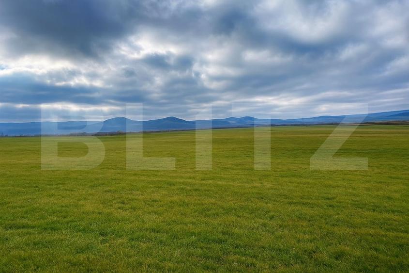 Teren Construcții de 12000 mp, în Vest