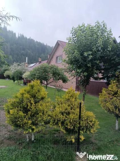 Casă cu 4 camere cu Teren 5200 Mp în Rădăuți