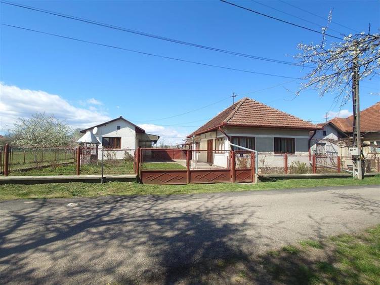 Casă individuală cu 4 camere cu Teren 3892 Mp în Baia de Criș