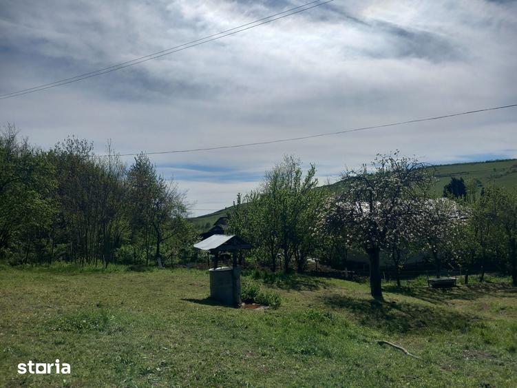 Teren spectaculos ,Porumbeni12.822 mp livada,case ?i panorama superba - 13