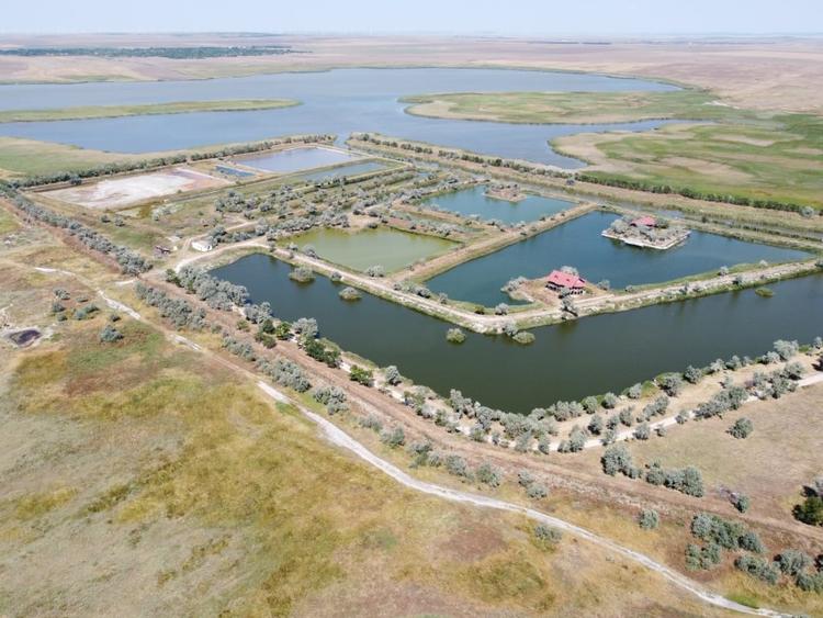 Teren Construcții intravilan de 347644 mp, în Istria