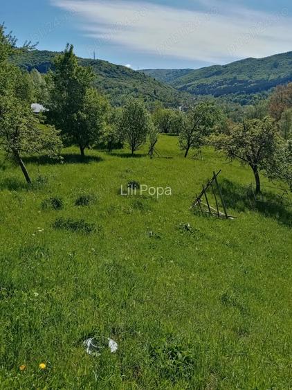 Vand casa ?i teren in Valea Doftanei.