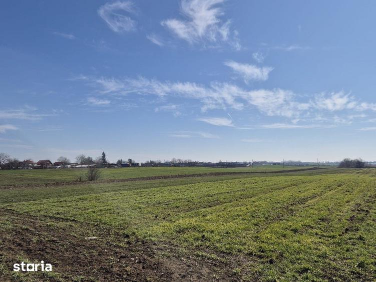 Trestieni - Ulmi, vanzare teren 1.663mp, intravilan - 13