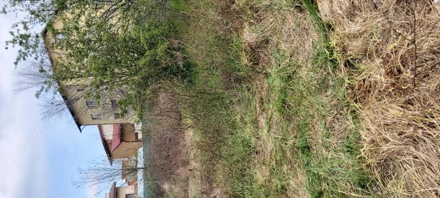 Teren de 850 mp, în Domnești