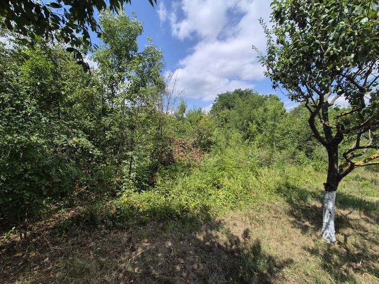 Teren de inchiriat – Voluntari, Strada Popasului - 6