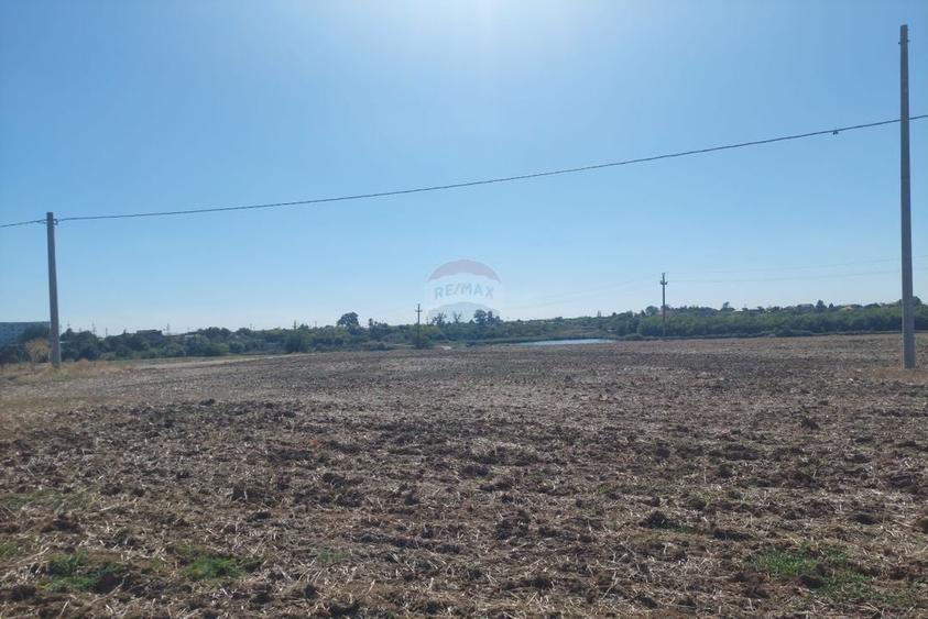 Teren Construcții intravilan de 2024 mp, în Balotești