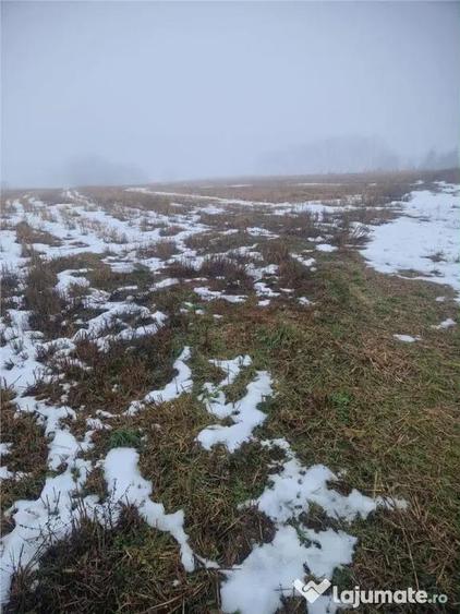 RECO, teren intravilan, Zona Sinteu, Bihor - 4