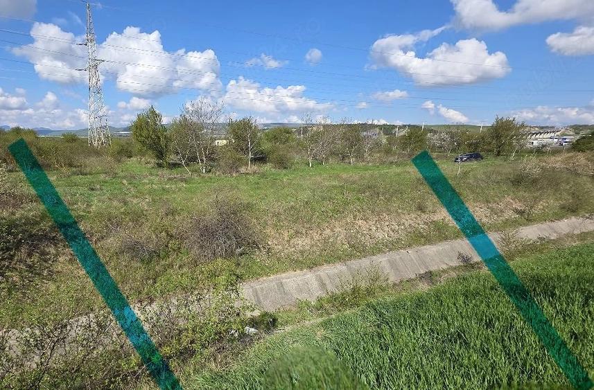 Teren de 5000 mp, în Mihai Viteazu