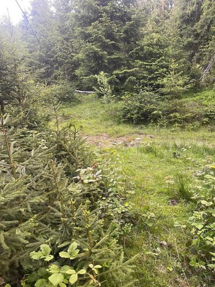 Teren de 250 mp, în Central