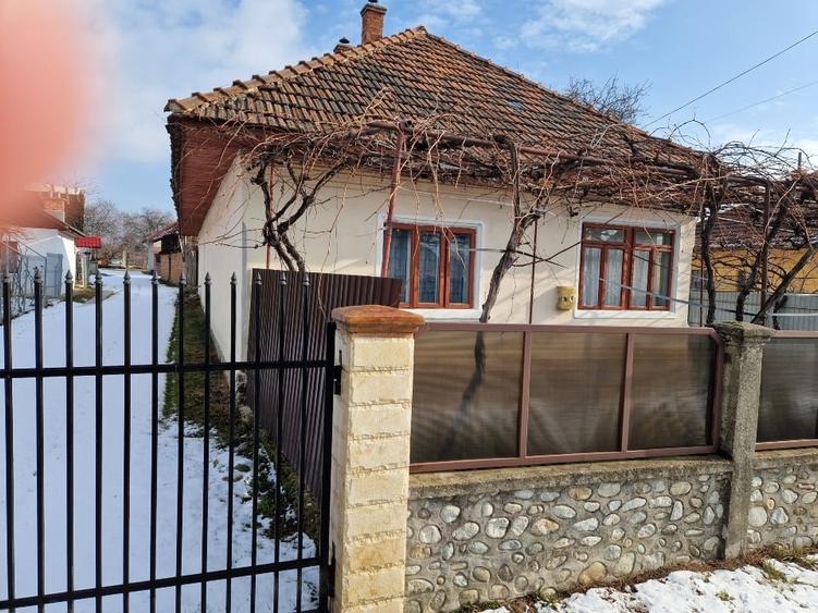Casă individuală cu 3 camere cu Teren 600 Mp în Baia de Fier