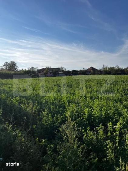 Casa de locuit in Valea Larga, cu teren generos de 5.100 mp - 2