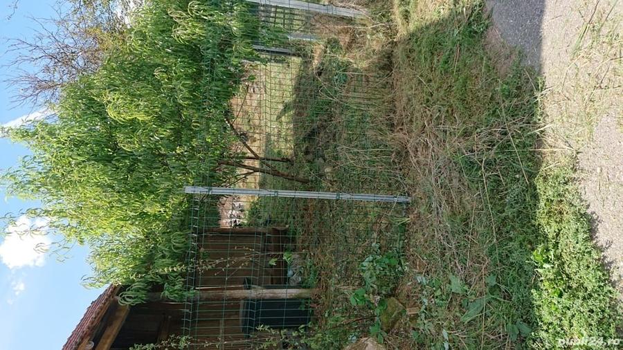Casă cu 2 camere cu Teren 934 Mp în Tisa