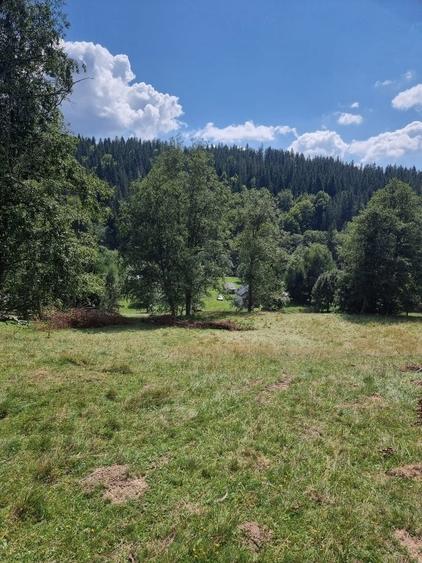 Teren Construcții intravilan de 7800 mp, în Măneciu