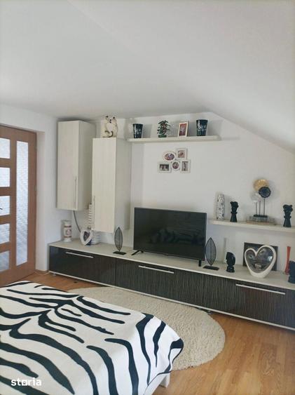 Casă cu 8 camere cu Teren 4600 Mp în Vlădeni