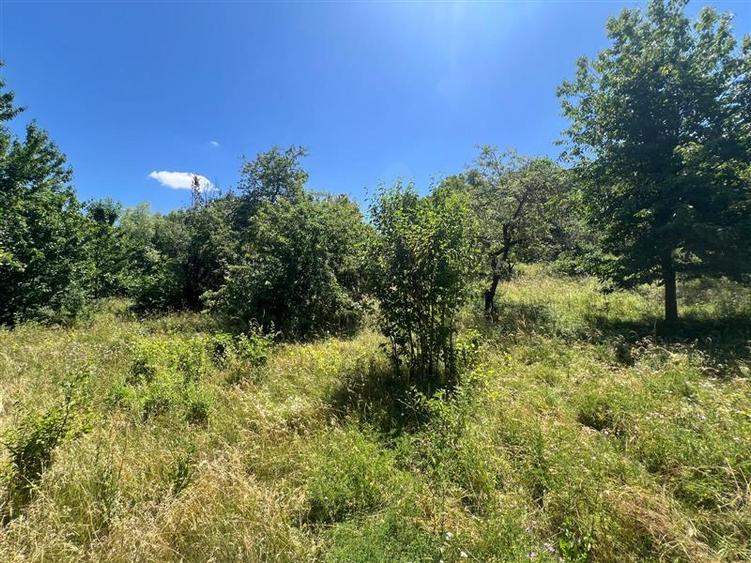Teren Construcții intravilan de 17475 mp, în Tomești