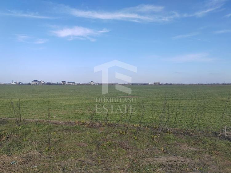 Teren Construcții intravilan de 8650 mp, în Cernica