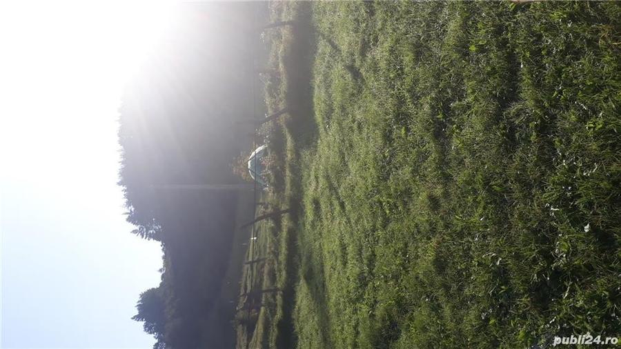 Teren de 6400 mp, în Central