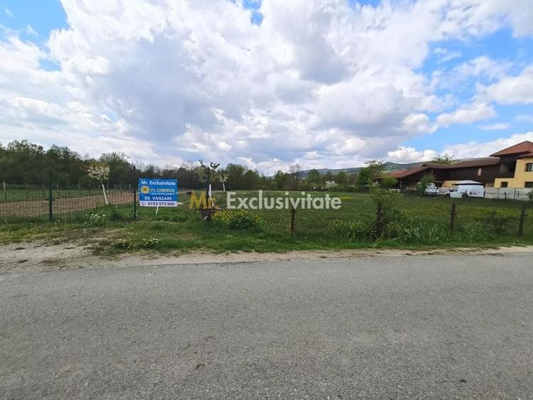 Teren Construcții intravilan de 19209 mp, în Crasna