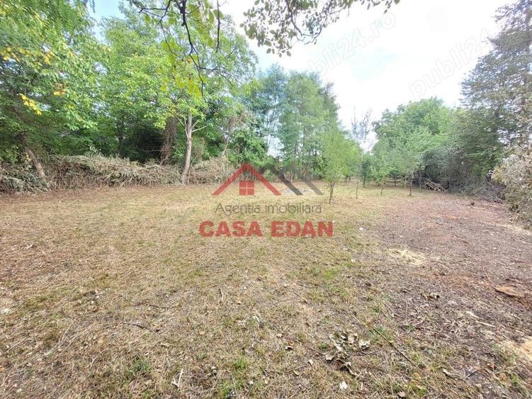 Casă cu Teren 2093 Mp în Bănești