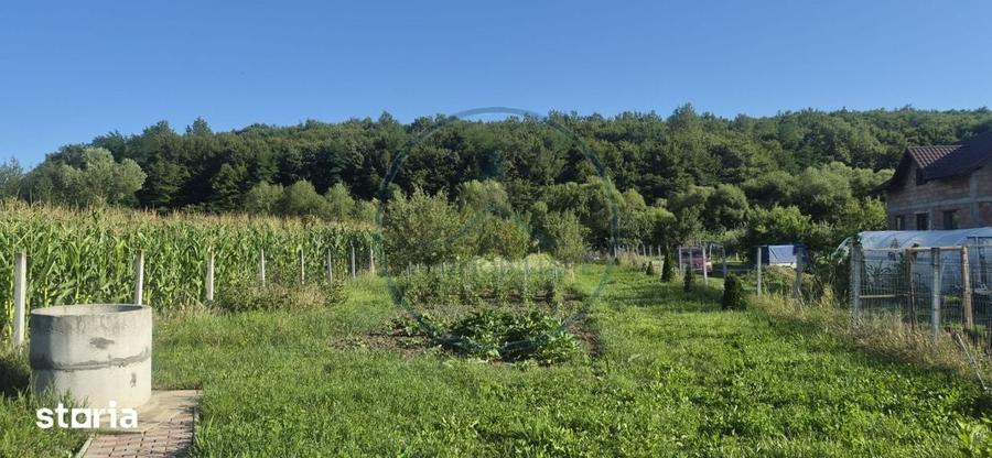 Casă cu 1 camere cu Teren 1000 Mp în Șieu