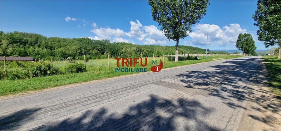 Teren Construcții intravilan de 772 mp, în Teleac