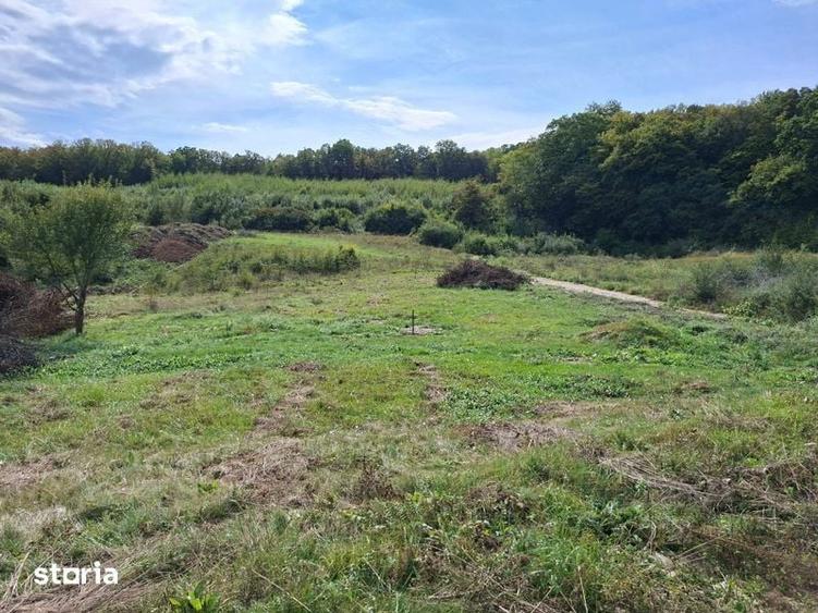 Teren de 1200 mp, în Florești