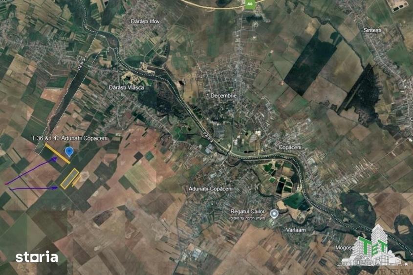 Teren de 186441 mp, în Grădinari