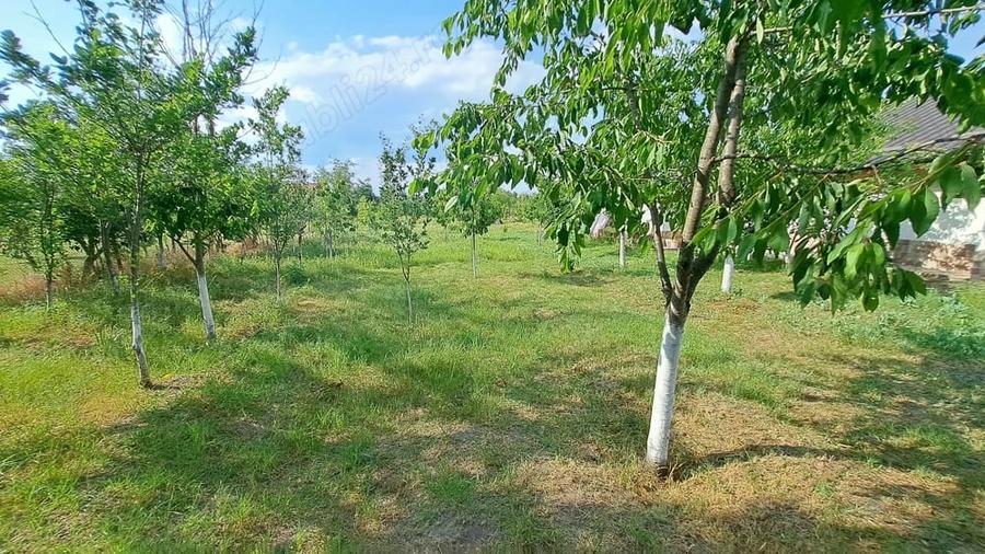 Loc de casa cu utilitati la 27 km de Bucuresti comuna Bulbucata - 3