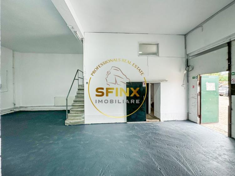 Spațiu industrial, de 123.4700012207 mp, în Theodor Pallady