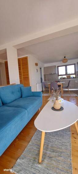 Casă cu 4 camere cu Teren 1233 Mp în Dumbrăvița