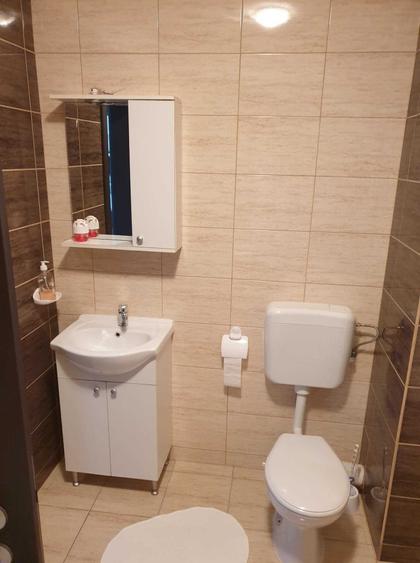 Apartament cu 2 camere în Roșu