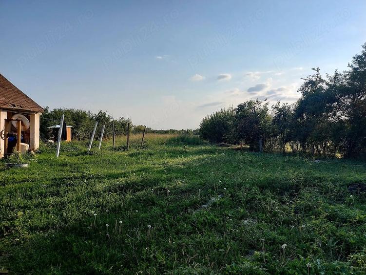 Casă în Alioș