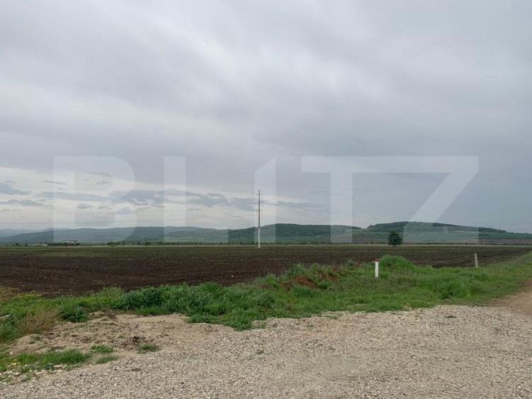 Teren Construcții intravilan de 41000 mp, în Sebeș