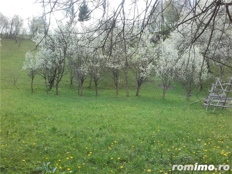 Teren de 3400 mp, în Trăisteni