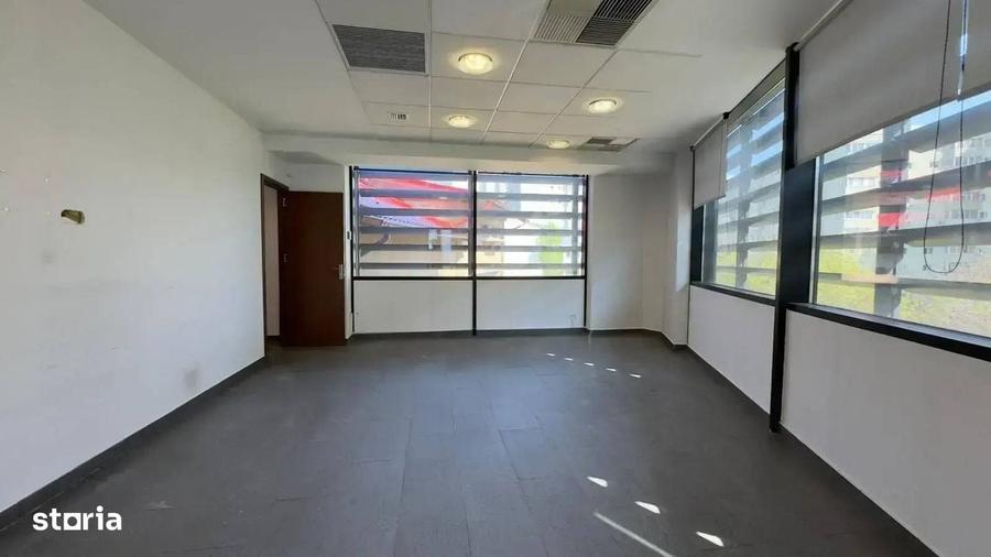 Birouri, 215 mp, Victoriei Titulescu - 5