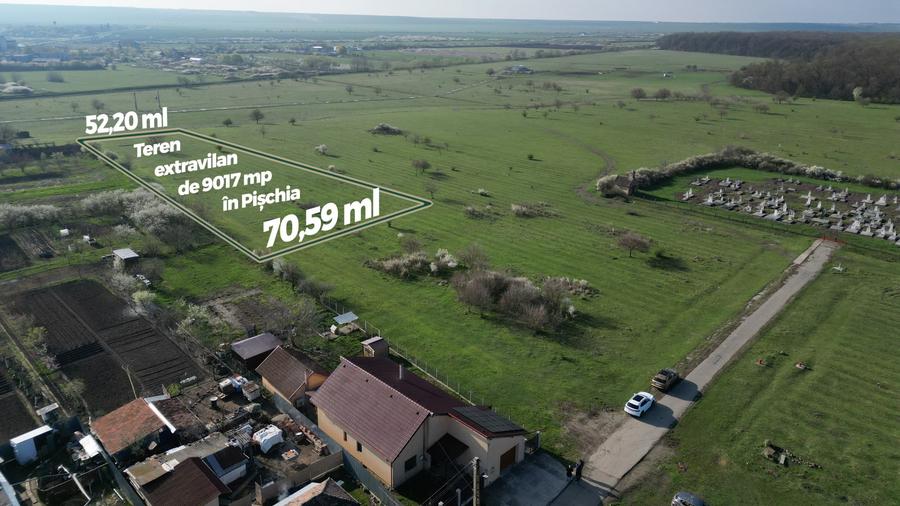 Teren agricol extravilan de 9017 mp, în Pișchia
