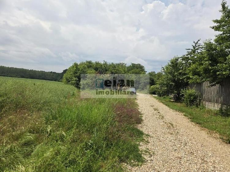 Teren Construcții intravilan de 1234 mp, în Ciolpani