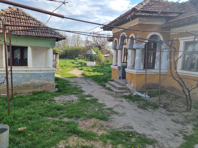 Casă cu Teren 1111 Mp în Hotărani