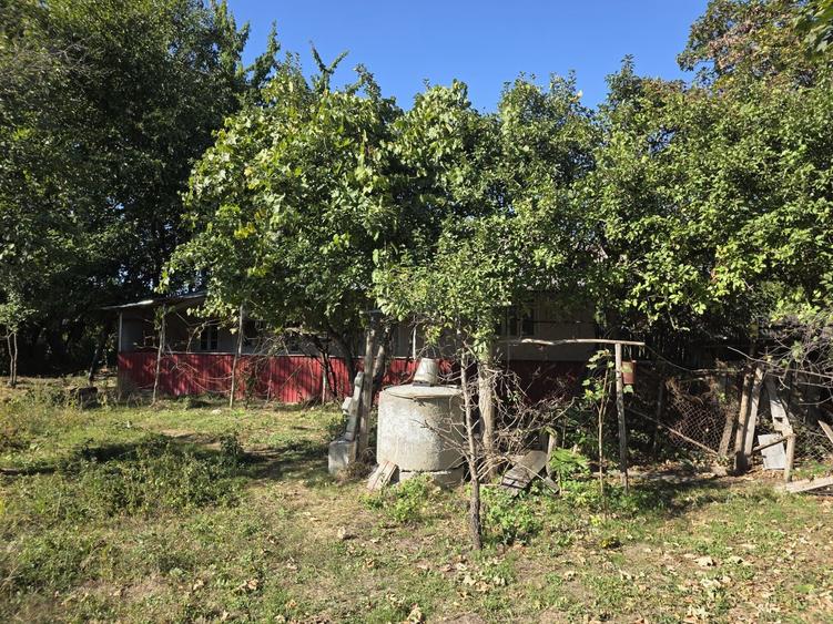 Casă cu 2 camere în Bursuci