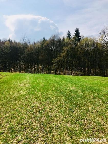 Teren de 5000 mp, în Central