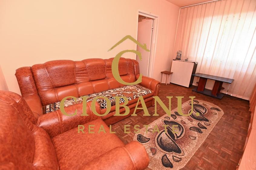 Apartament cu 2 camere semidecomandat în Craiovița Nouă