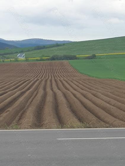 Teren de 2650 mp, în Bogdănești