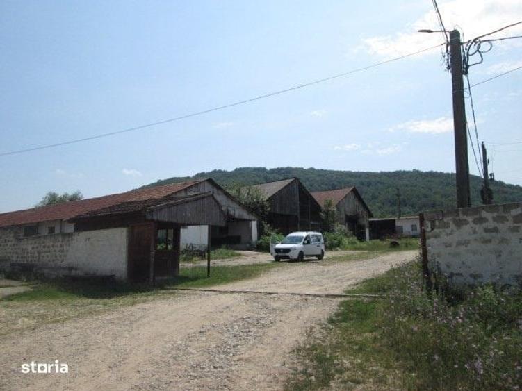 Spațiu comercial, în Șopotu Vechi